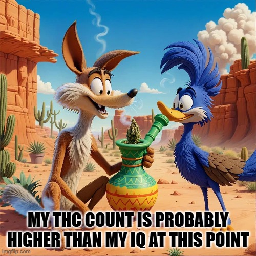 Wily and Roadrunner getting ripped | MY THC COUNT IS PROBABLY HIGHER THAN MY IQ AT THIS POINT | image tagged in wily the coyote,roadrunner,cannabis,funny,humour,looney tunes | made w/ Imgflip meme maker