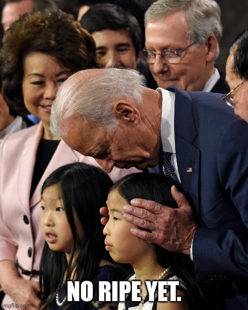 Joe Biden sniffs Chinese child | NO RIPE YET. | image tagged in joe biden sniffs chinese child | made w/ Imgflip meme maker