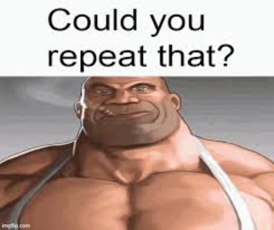 Could you repeat that? | image tagged in could you repeat that | made w/ Imgflip meme maker