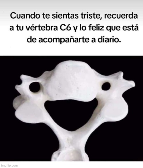 9gd9e8.jpg