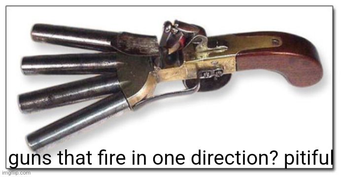 guns that fire in one direction? pitiful | made w/ Imgflip meme maker