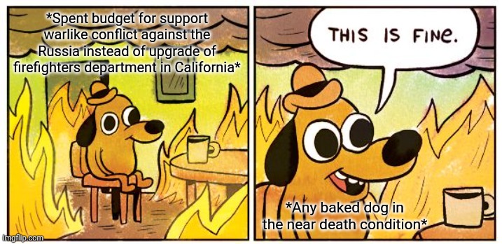 -The broken insurance. | *Spent budget for support warlike conflict against the Russia instead of upgrade of firefighters department in California*; *Any baked dog in the near death condition* | image tagged in memes,this is fine,health insurance,wings of fire,scumbag hollywood,we spent much money on that | made w/ Imgflip meme maker