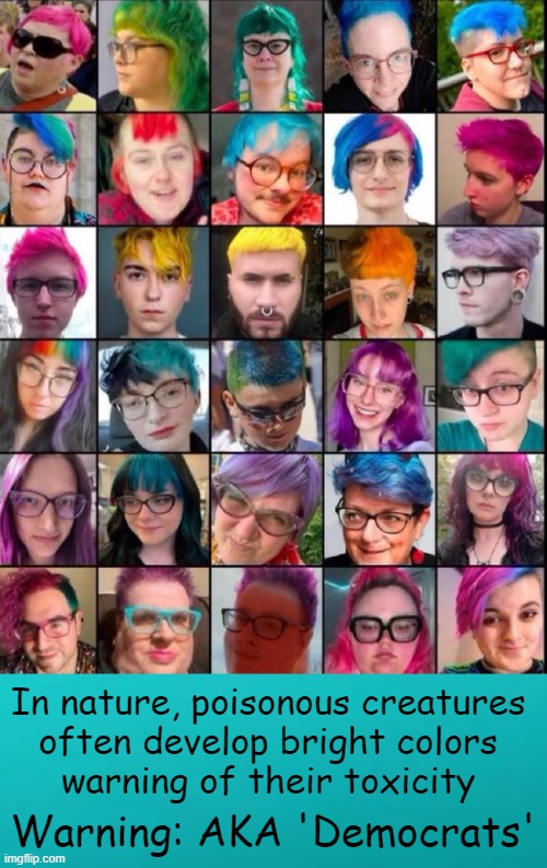 Some people visually show that they are mentally ill. PSA ALERT....Take this at face value! | In nature, poisonous creatures 
often develop bright colors 
warning of their toxicity; Warning: AKA 'Democrats' | image tagged in democrats,loony liberals,cartoon logic,how could you take them seriously,visible confusion,warning sign | made w/ Imgflip meme maker