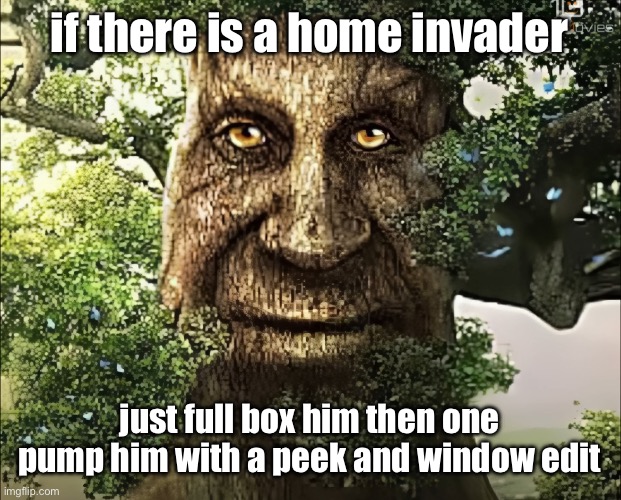 tree | if there is a home invader; just full box him then one pump him with a peek and window edit | image tagged in tree | made w/ Imgflip meme maker