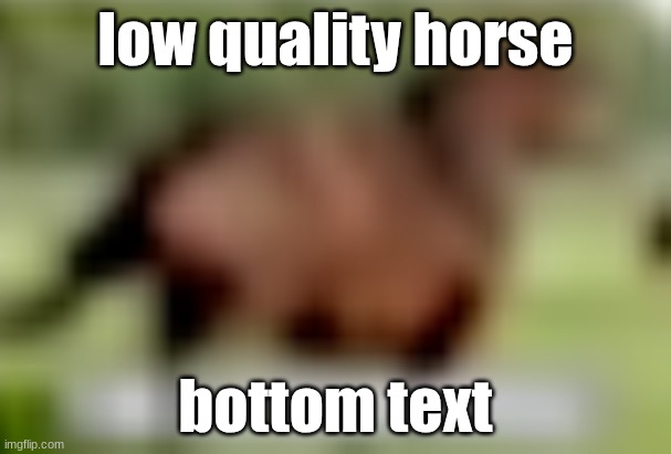 hors | low quality horse; bottom text | image tagged in extremely low quality horse | made w/ Imgflip meme maker