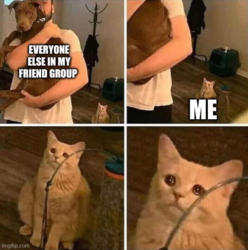 It’s like they don’t care… I always try to be nice to them and they ignore me. THEY IGNORE ME LIKE I DON’T EXIST | EVERYONE ELSE IN MY FRIEND GROUP; ME | image tagged in vent post,ignored cat,lets laugh at him,im seriously depressed | made w/ Imgflip meme maker