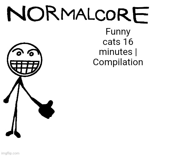 Normalcore announcement temp | Funny cats 16 minutes | Compilation | image tagged in normalcore announcement temp | made w/ Imgflip meme maker