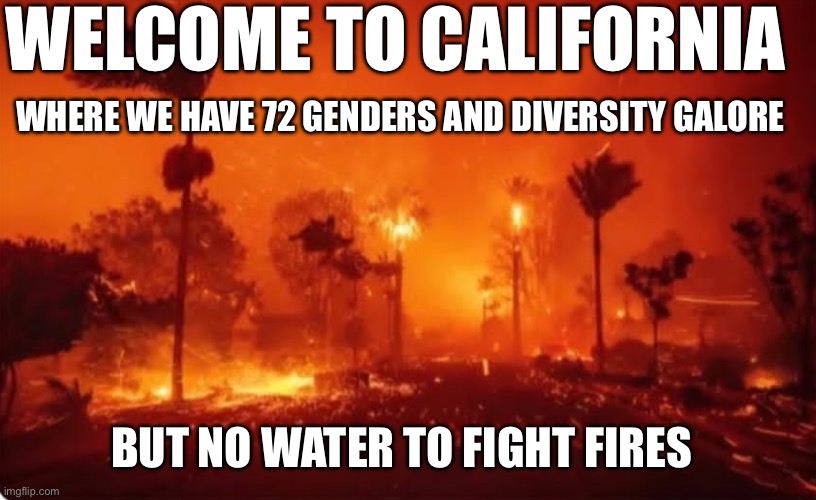 In 2014, voters approved $7.5 billion for new reservoirs but ZERO have been built. | WELCOME TO CALIFORNIA; WHERE WE HAVE 72 GENDERS AND DIVERSITY GALORE; BUT NO WATER TO FIGHT FIRES | image tagged in la fires 2025,incompetent democrats,recall gavin newsome now | made w/ Imgflip meme maker