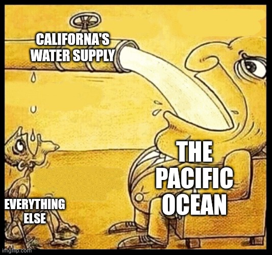 Why Californa has no water. | CALIFORNA'S WATER SUPPLY; THE PACIFIC OCEAN; EVERYTHING ELSE | image tagged in fat guy drinking water | made w/ Imgflip meme maker