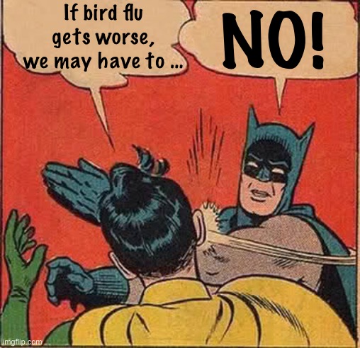 Never again | If bird flu gets worse, we may have to …; NO! | image tagged in memes,batman slapping robin,covid-19,bird flu,government shutdown | made w/ Imgflip meme maker