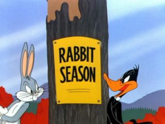 Rabbit Season | image tagged in rabbit season | made w/ Imgflip meme maker