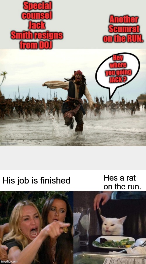 His job is finished; Hes a rat on the run. | image tagged in memes,woman yelling at cat | made w/ Imgflip meme maker