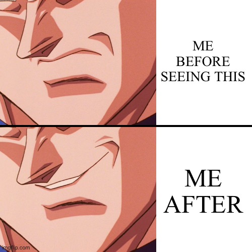 vegeta evil smile, writing on the side | ME BEFORE SEEING THIS ME AFTER | image tagged in vegeta evil smile writing on the side | made w/ Imgflip meme maker