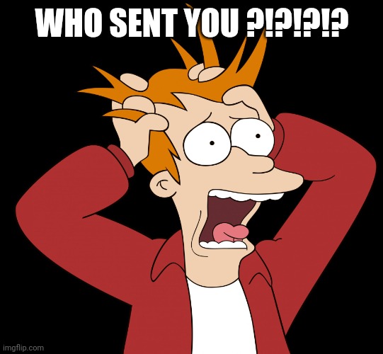 Futurama Fry Screaming | WHO SENT YOU ?!?!?!? | image tagged in futurama fry screaming | made w/ Imgflip meme maker