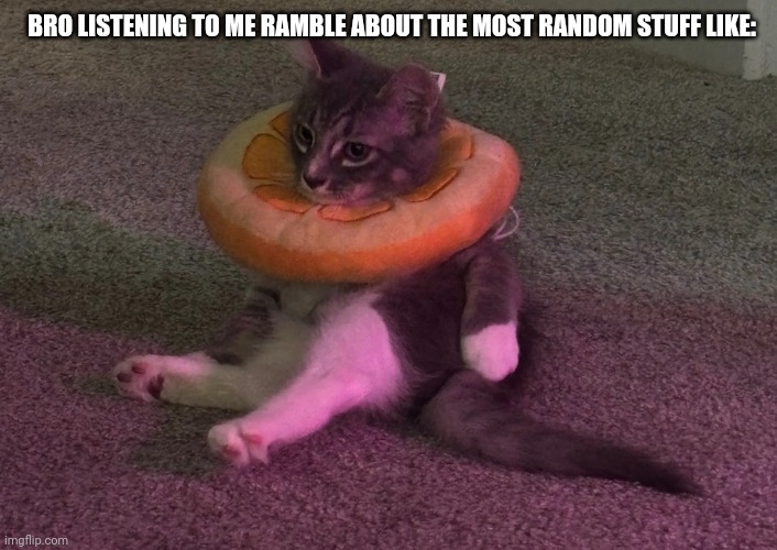 Are you the cat or the person rambling? | BRO LISTENING TO ME RAMBLE ABOUT THE MOST RANDOM STUFF LIKE: | image tagged in cat in an orange,me and bro,memes,relatable memes,relatable,goku | made w/ Imgflip meme maker