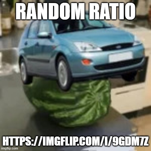 FocusMelon | RANDOM RATIO; HTTPS://IMGFLIP.COM/I/9GDM7Z | image tagged in focusmelon | made w/ Imgflip meme maker