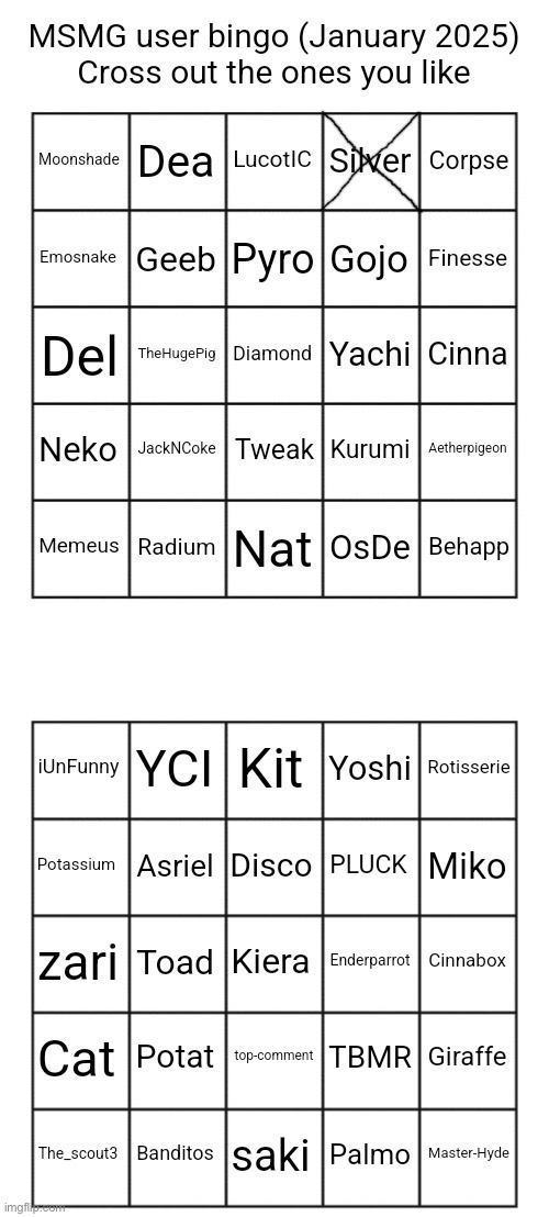 Msmg users January 2025 bingo | image tagged in msmg users january 2025 bingo | made w/ Imgflip meme maker