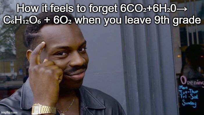 Roll Safe Think About It | How it feels to forget 6CO₂+6H₂0→ C₆H₁₂O₆ + 6O₂ when you leave 9th grade | image tagged in memes,roll safe think about it | made w/ Imgflip meme maker