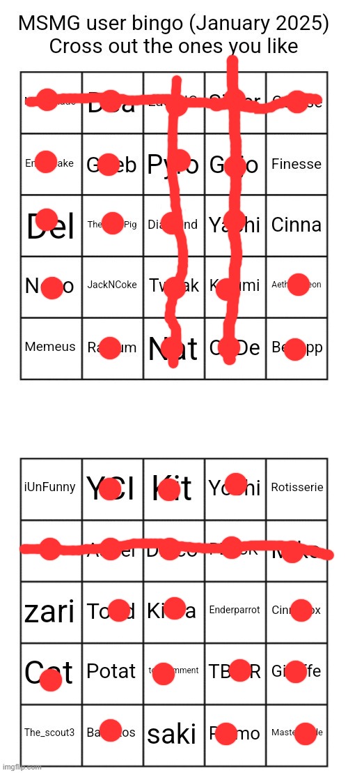 Msmg users January 2025 bingo | image tagged in msmg users january 2025 bingo | made w/ Imgflip meme maker