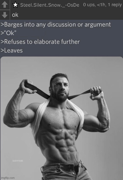 I managed to replicate the exact font and font thickness | “Ok” | image tagged in chad barges into discussion with correct font | made w/ Imgflip meme maker