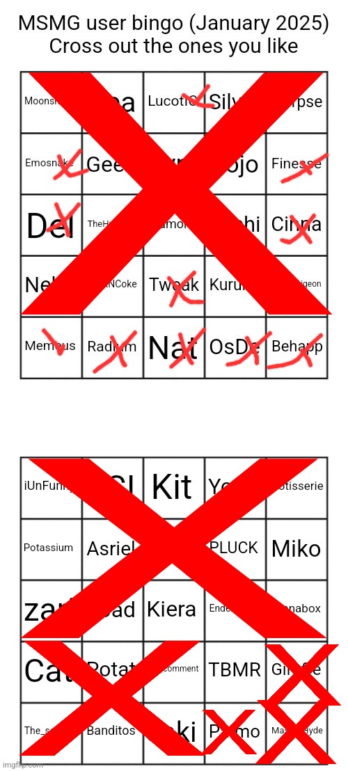 The red x is included in the cross | image tagged in msmg users january 2025 bingo | made w/ Imgflip meme maker