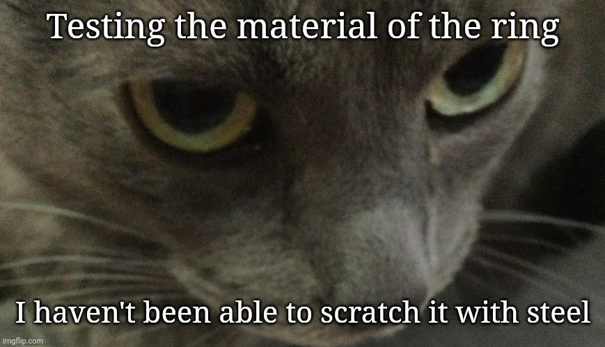 Sweetie | Testing the material of the ring; I haven't been able to scratch it with steel | image tagged in sweetie | made w/ Imgflip meme maker