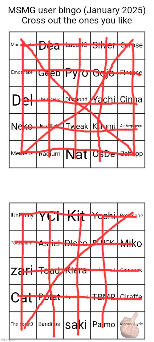 Msmg users January 2025 bingo | image tagged in msmg users january 2025 bingo | made w/ Imgflip meme maker