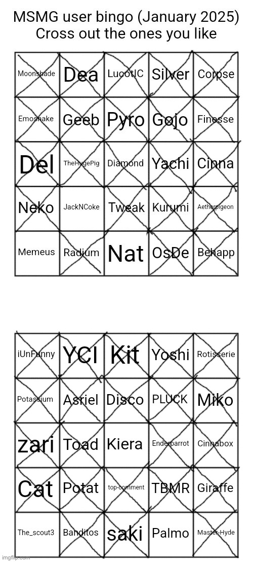 the actually real bingo | image tagged in msmg users january 2025 bingo | made w/ Imgflip meme maker