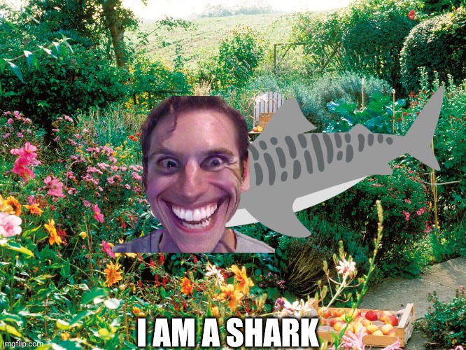 garden | I AM A SHARK | image tagged in garden | made w/ Imgflip meme maker