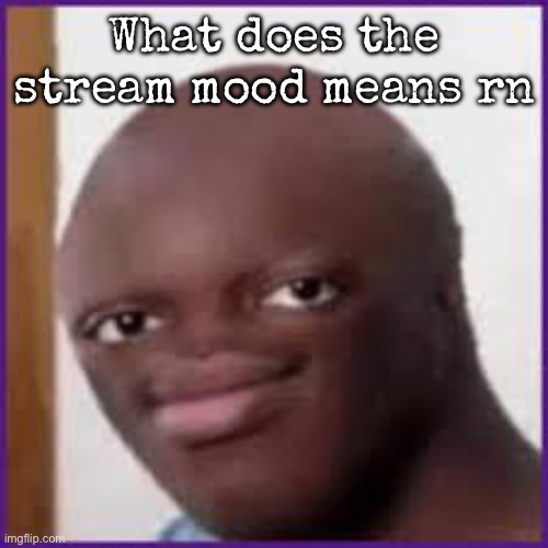 Bald Ksi | What does the stream mood means rn | image tagged in bald ksi,msmg | made w/ Imgflip meme maker