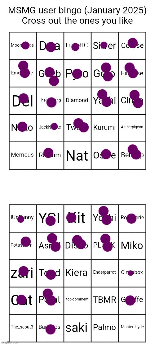 Definitely forgor to mark someone else on here | image tagged in msmg users january 2025 bingo,darn it i forgot to mark tbmr and aetherpigeon | made w/ Imgflip meme maker