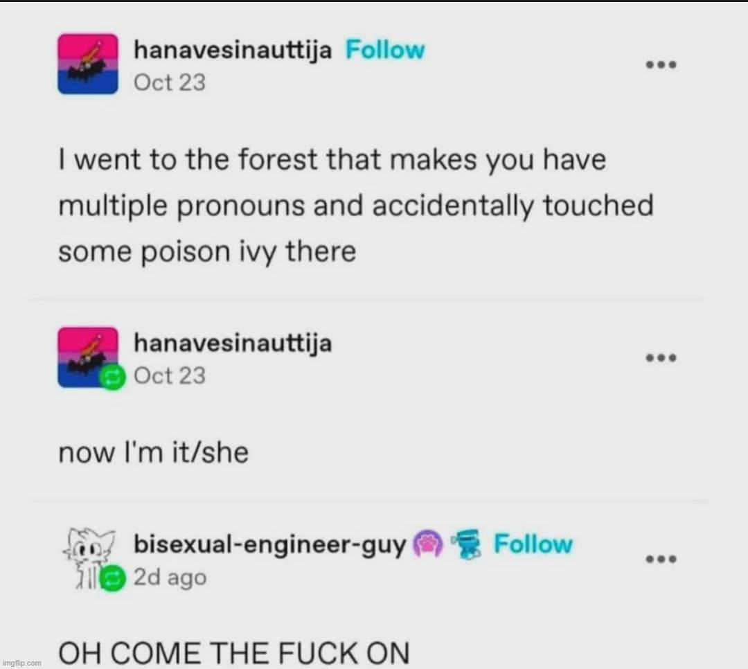 im it/she | made w/ Imgflip meme maker