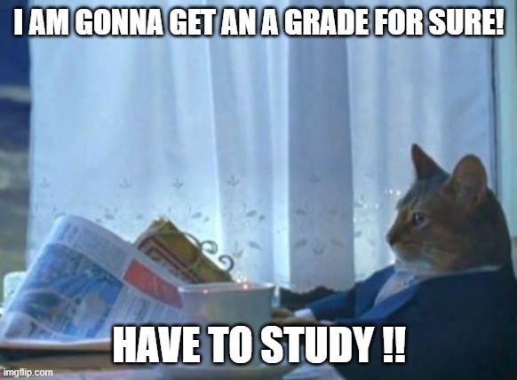 Beggining of the semester | I AM GONNA GET AN A GRADE FOR SURE! HAVE TO STUDY !! | image tagged in memes,i should buy a boat cat | made w/ Imgflip meme maker