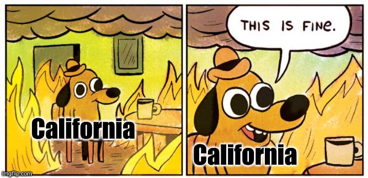 This Is Fine | California; California | image tagged in memes,this is fine,california,politics,dog in burning house,funny | made w/ Imgflip meme maker