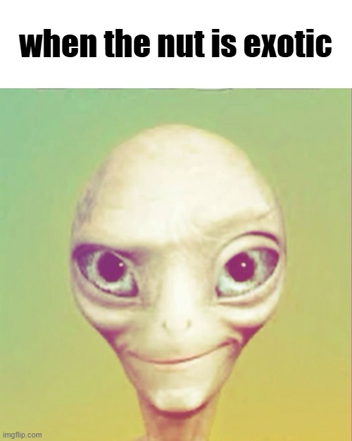 Freaky ahh alien | when the nut is exotic | image tagged in freaky ahh alien | made w/ Imgflip meme maker