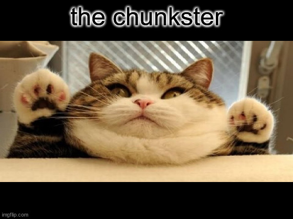 the chunkster | the chunkster | image tagged in chunky | made w/ Imgflip meme maker