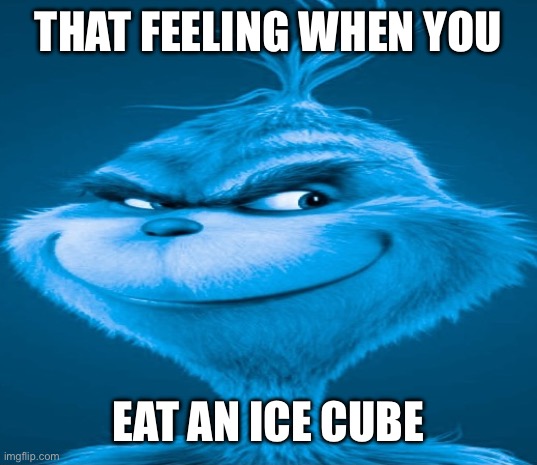 Blue Grinch | THAT FEELING WHEN YOU; EAT AN ICE CUBE | image tagged in blue grinch | made w/ Imgflip meme maker