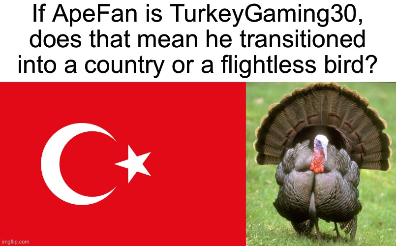 Further question, if it is the flightless bird, does that make him a furry? (This is the worst joke ever) | If ApeFan is TurkeyGaming30, does that mean he transitioned into a country or a flightless bird? | image tagged in flag of turkey,memes,turkey | made w/ Imgflip meme maker