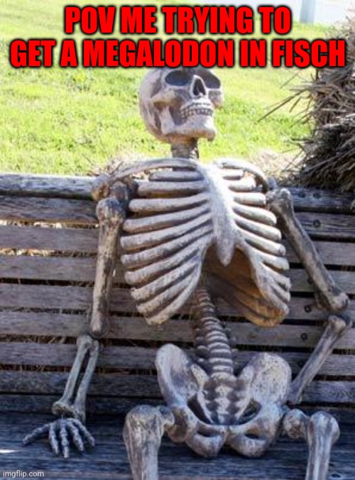 No title | POV ME TRYING TO GET A MEGALODON IN FISCH | image tagged in memes,waiting skeleton | made w/ Imgflip meme maker