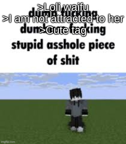 dumb fucking dumbass fucking stupid asshole piece of shit | >Loli waifu
>I am not attracted to her
>Cute tag | image tagged in dumb fucking dumbass fucking stupid asshole piece of shit | made w/ Imgflip meme maker