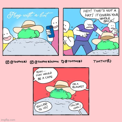 Hat | image tagged in hat,frogs,frog,hats,comics,comics/cartoons | made w/ Imgflip meme maker