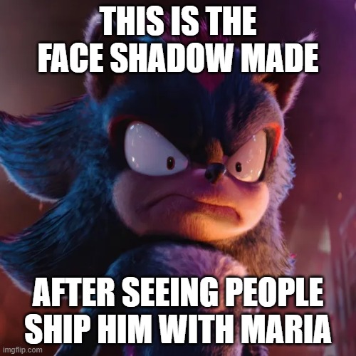 I mean, am I not wrong?? | THIS IS THE FACE SHADOW MADE; AFTER SEEING PEOPLE SHIP HIM WITH MARIA | image tagged in shadow the hedgehog | made w/ Imgflip meme maker