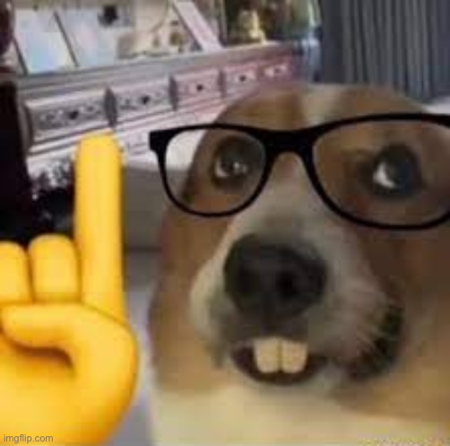 nerd dog | image tagged in yo,ass,ku,klux,ovary,lore | made w/ Imgflip meme maker