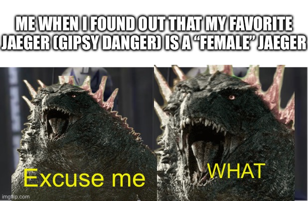 Watchin pacific rim rn and literally just found out | ME WHEN I FOUND OUT THAT MY FAVORITE JAEGER (GIPSY DANGER) IS A “FEMALE” JAEGER; WHAT; Excuse me | image tagged in excuse me what,jaeger,gipsy danger,pacific rim | made w/ Imgflip meme maker