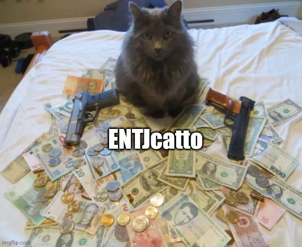 ENTJcatto | ENTJcatto | image tagged in get rich cat,entj,cat,mbti,myers briggs,personality | made w/ Imgflip meme maker