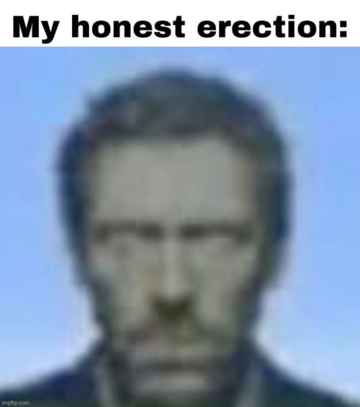 my honest erection | image tagged in my honest erection | made w/ Imgflip meme maker