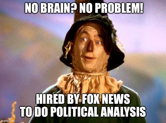 Fox News Host | NO BRAIN? NO PROBLEM! HIRED BY FOX NEWS TO DO POLITICAL ANALYSIS. | image tagged in fox news,trump,republicans,conservatives,right wing | made w/ Imgflip meme maker