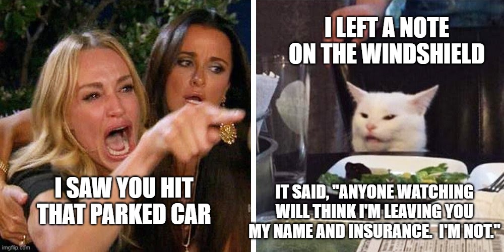 Hit a parked car | I LEFT A NOTE ON THE WINDSHIELD; I SAW YOU HIT THAT PARKED CAR; IT SAID, "ANYONE WATCHING WILL THINK I'M LEAVING YOU MY NAME AND INSURANCE.  I'M NOT." | image tagged in smudge the cat | made w/ Imgflip meme maker