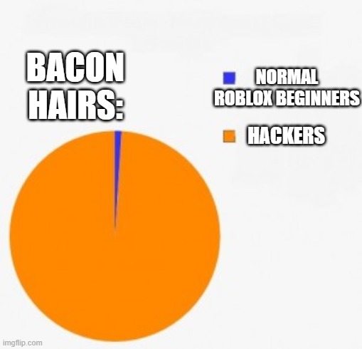 pie chart/ percentage | BACON HAIRS:; NORMAL ROBLOX BEGINNERS; HACKERS | image tagged in pie chart/ percentage | made w/ Imgflip meme maker