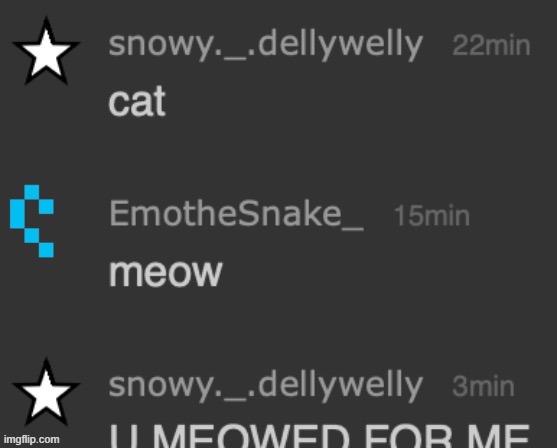 GUYS HE MEOWED FOR ME | image tagged in meow | made w/ Imgflip meme maker